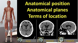 Medical terminology Anatomical position Anatomical planes Terms of location l MADE EASY [upl. by Vharat490]