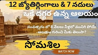 Somasila  Someswara swamy temple  Sangameshwaram  12jyotirlingas somalia jyotirlingas [upl. by Ahtrim286]