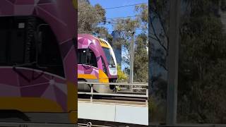 VLINE ON THE VIADUCTshortsthemetroboy [upl. by Cowie287]