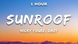 1 Hour Nicky Youre dazy  Sunroof Lyrics [upl. by Modestine]