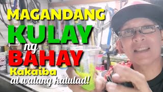 PAANO MAGTIMPLA NG IBATIBANG KULAY PARA SA PINTURA NG BAHAY I DA HUSTLERS TV [upl. by Lezah]