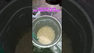 how to make tempeh [upl. by Colman]