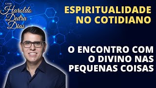 Espiritualidade no Cotidiano O Encontro com o Divino nas Pequenas Coisas  Haroldo Dutra Dias [upl. by Nylehtak]