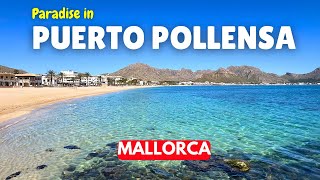 MALLORCA Puerto Pollensa ESSENTIAL PreSeason Update March 2024 [upl. by Annice329]