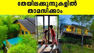 തേയിലക്കുന്നുകളിൽ താമസിക്കാം  Tea Terrain Resorts and Spa  Iype Vallikadan  Travel With Me [upl. by Coltin]