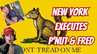 WTF New York Executes Pets Now Remembering PNut and Fred [upl. by Steck140]