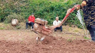 Farm Life  Plowing the land to prepare for planting vegetables cook radish and bone soup [upl. by Walker]