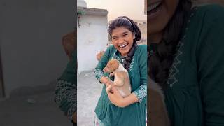 Chote puppy ka ilaj 😨 vlog 176 minivloging tranding ashortaday [upl. by Heindrick426]