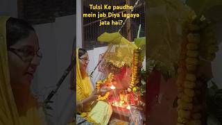 Tulsi Maiya ki pattiyan Aashirwad deti haiytvideomvlogmotivationbhaktiVishnu Priyaytshortfeed [upl. by Oisorbma870]