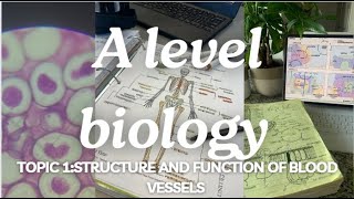 A level biology edexcel a SNAB Topic 1 Structure and function of blood vessels [upl. by Oiraved]