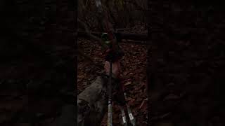 CRAZY ENCOUNTER Turn the volume up to hear this massive deer grunt at me deer deerhunting [upl. by Eniliuqcaj107]