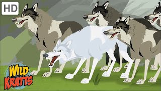 Wild Kratts  Wolves  Predators of the Forest [upl. by Yssis92]