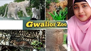 Gwalior zoo travel  Madhya Pradesh  mini vlog [upl. by Laural505]