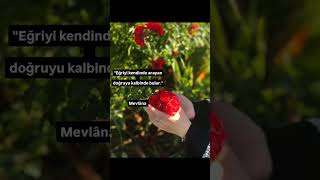 quotEğriyi kendinde arayan doğruyu kalbinde bulurquot Mevlâna [upl. by Haydon]