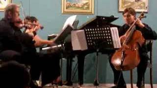 THE PADEREWSKI TRIO chamber music m1 [upl. by Ahsiener]