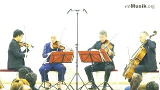 Helmut Lachenmann  String Quartet № 3 “Grido” [upl. by Attaynek]