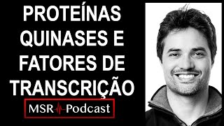 O Que São Proteínas Quinases e Fatores de Transcrição  Aula 14 [upl. by Harrietta115]