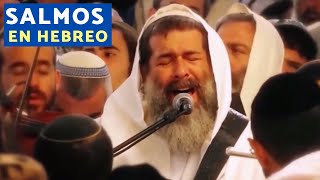 Salmos 1161219  TRADUCIDOS AL ESPAÑOL Y CON LA PRONUNCIACIÓN HEBREA [upl. by Aiyotal]