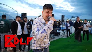 Bogdan DLP  Habibi đźŽ¤ Live [upl. by Katee]