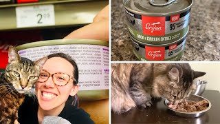 Orijen has wet cat food Lets review it [upl. by Ynelram]