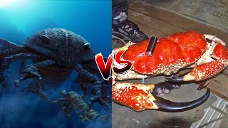 Pterygotus vs Tasmanian Giant Crab [upl. by Pellegrini275]