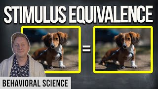 Stimulus Equivalence in ONE Minute  ABA Key Terms [upl. by Euhc]