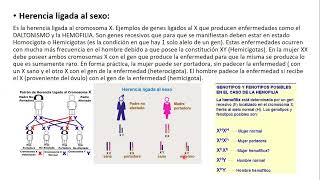 15102024  CLASE 47  BIOLOGIA  MEDICINA UNC  NOVIEMBRE 2024 [upl. by Acinad]