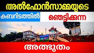 St Alphonsas Tombവിശുദ്ധ അൽഫോൺസാമ്മയുടെ കബറിടം [upl. by Anirdna]