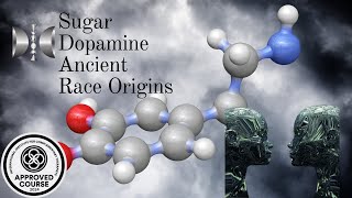 Sugar and dopamine a pathway to freedom Ancient Race Origins [upl. by Cornwall376]