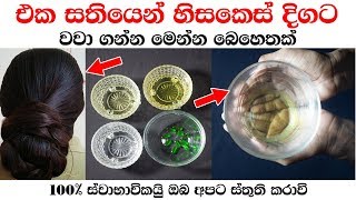 එක සතියෙන් හිසකෙස් දිගට වවා ගන්න මෙන්න බෙහෙතක්  hair growth treatments sinhala [upl. by Dyolf]