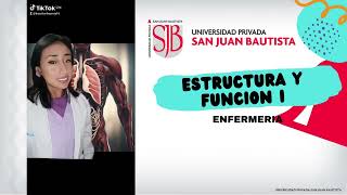 ESTRUCTURA Y FUNCION I [upl. by Keese831]