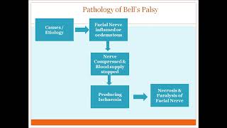 bells palsy [upl. by Dorrahs]