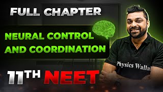 Neural Control and Coordination FULL CHAPTER  Class 11th Zoology  Arjuna NEET [upl. by Haizek]