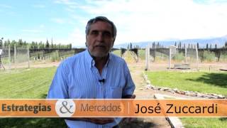 José Zuccardi Los avances en vitivinicultura [upl. by Voltmer176]