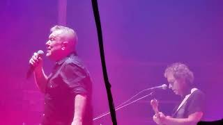 Cold Chisel Live 2024 Flame Trees [upl. by Audres106]