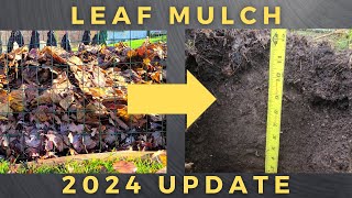 5 years of leaf mulch [upl. by Tterab982]