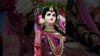 Jai ma1🙏 trending Navratri special song 🙏🙏 [upl. by Dowell]