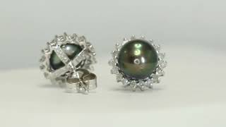 Diamond Tahitian Pearl Halo Stud Earrings 23CT 14K WG Studs  32835 [upl. by Ennayehc]