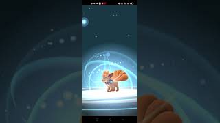 Enloving the event Vulpix [upl. by Deni270]