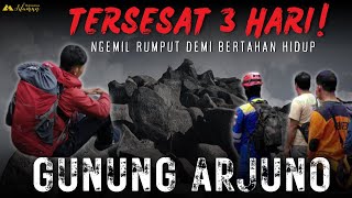 NGERI Kesaksian Pendaki Tersesat SENDIRIAN selama 3 Hari di GUNUNG ARJUNO WELIRANG Tahun 2006 [upl. by Neirb]