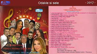 Jelena Brocic  Odakle si sele  LIVE  Audio 2017 [upl. by Raveaux]