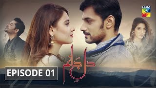 Dil e Jaanam Episode 1 HUM TV Drama [upl. by Ayalahs67]