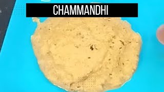 Thengai Chammanthi Recipe  Kerala Style Chammanthi  Chammanthi Recipe in Tamil [upl. by Jamie550]