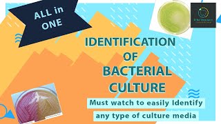 Identification of BACTERIAL Culture Media  MICROBIOLOGY LAB PRACTICAL [upl. by Recor]