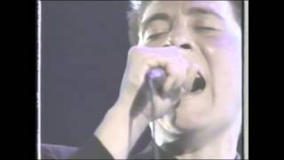 Tribute 1990 Crying K D Lang [upl. by Patterson]