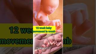 12 week pregnancy  12 week pregnancy ultrasound shorts ytshortspregnancy manikemagehitheremix [upl. by Juta]