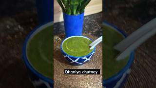 Green dhaniya ki chatni  Hare dhaniya chutney recipe [upl. by Leela]