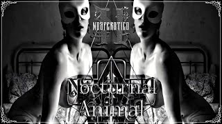 Nosferotico  Nocturnal Animal [upl. by Yenobe]