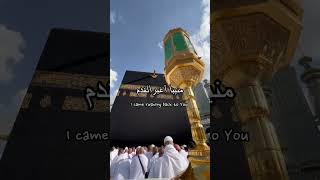 Ilahi Wasiul Karami Arabic Nasheed  English translation status lyrics shorts youtubeshorts [upl. by Eittap]