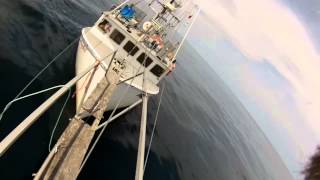 Harpooning Massive 700lb Swordfish On My New Million Dollar Fishing Boat  Fishing North Atlantic [upl. by Tiloine]